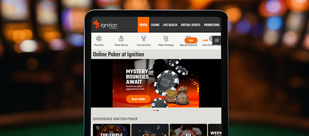 Picture3 - My MMA News