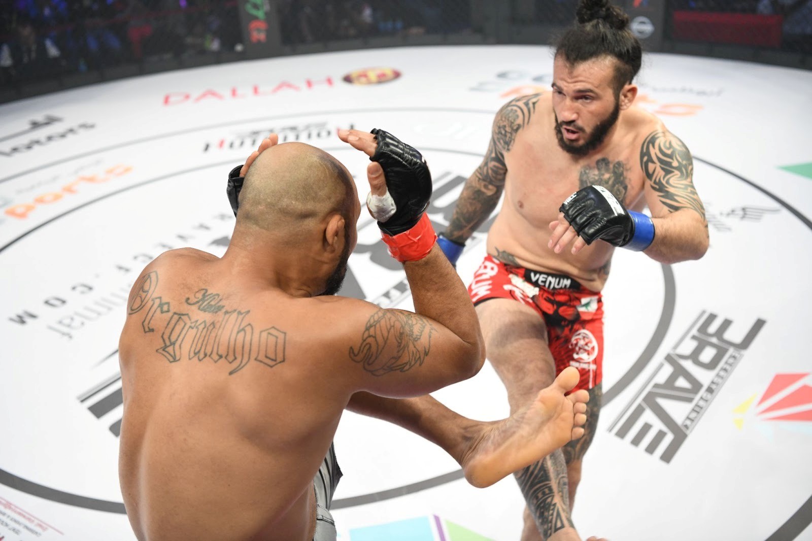 Mohammad Fakhreddine