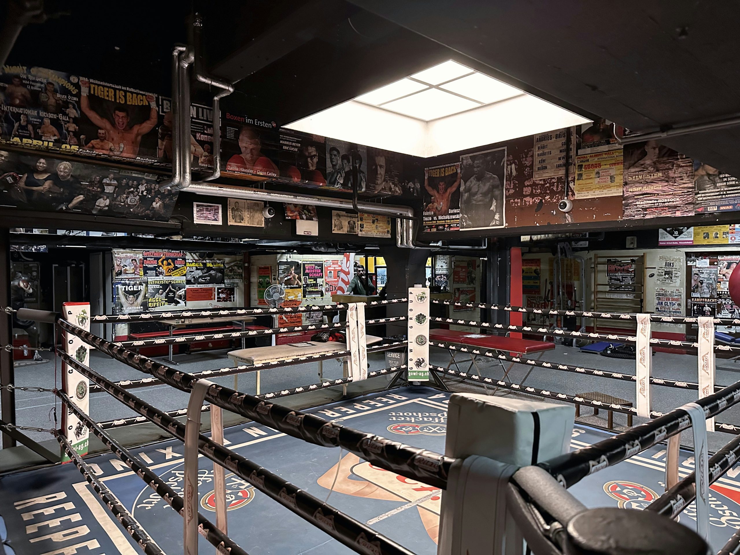 UFC betting