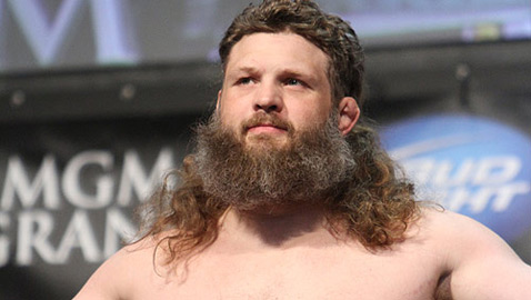 Roy Nelson vs. Alistair Overseem Set For UFC 185