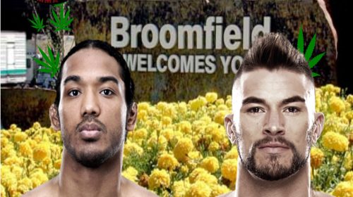 Split Decision MMA Podcast - UFC Broomfield, Esparza, Faber, WSOF, Schaub, Fines?