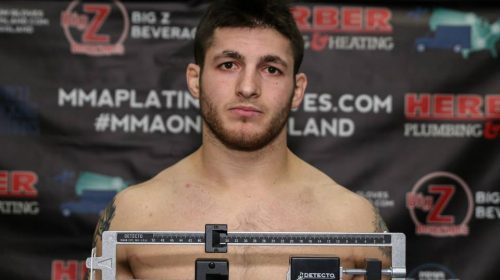 MMA Platinum Gloves 8 Results