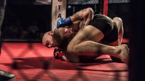 WCC 13 - Photo Gallery - World Cagefighting Championships