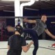 Watch Georges St. Pierre kick Bud Light bottle off fan's head