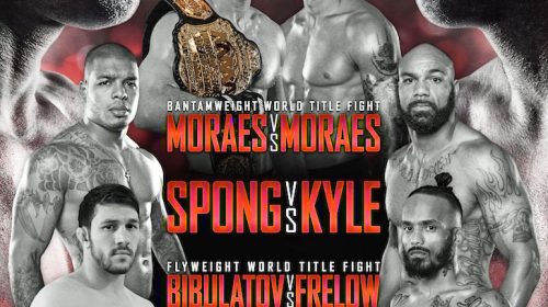 WSOF 22: Palhares vs. Shields Hits Vegas on Aug. 1, Tickets On Sale Fri