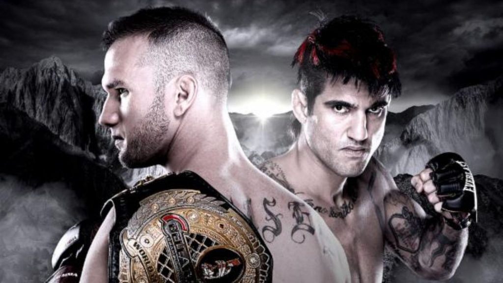 Bellator MMA 137 Results: Halsey TKO's Grove