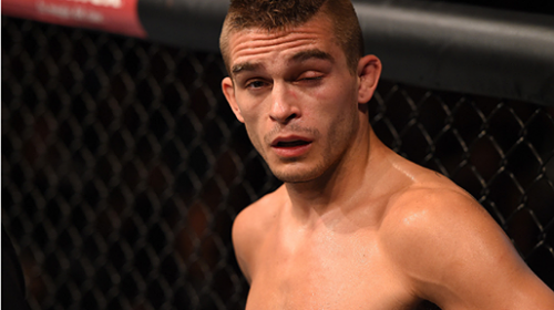 Hollywood Johnny Case will not need surgery to repair eye