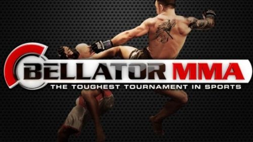 Bellator Releases Eight Fighters; Sokoudjou, Rafael Silva On List