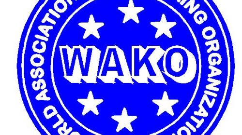 WAKO Tournament coming to UFC Fan Expo