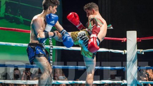 "Lil Pitbull" - Ahmad Ibrahim interview