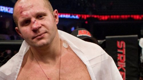 Fedor confirms negotiations with UFC, wants rematch with Werdum