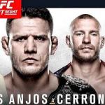 UFC on FOX 17