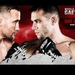 WSOF 29