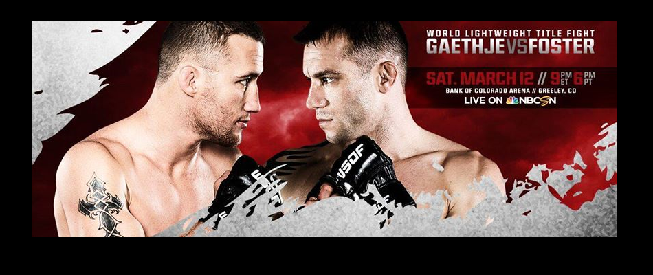 WSOF 29