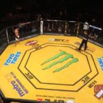 ufc 200 octagon, ufc sponsors