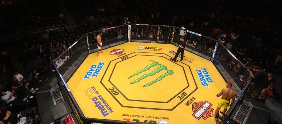 ufc 200 octagon, ufc sponsors