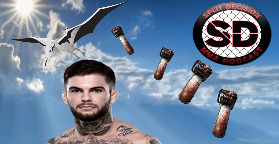 Cody Garbrandt UFC 202