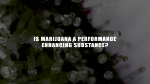 is marijuana a performance enhancing drug?