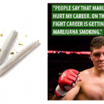 Marijuana and MMA, Mixed Martial Arts