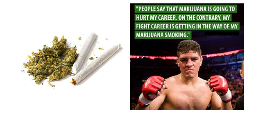 Marijuana and MMA, Mixed Martial Arts