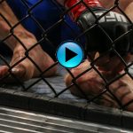 Herb Dean, Jake Ellenberger foot