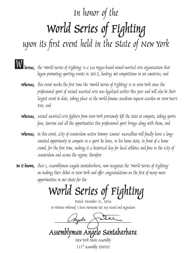 Office of New York State Assemblyman Angelo Santabarbara proclamation to WSOF MMA