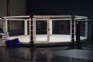 MPR Endurance MMA cage