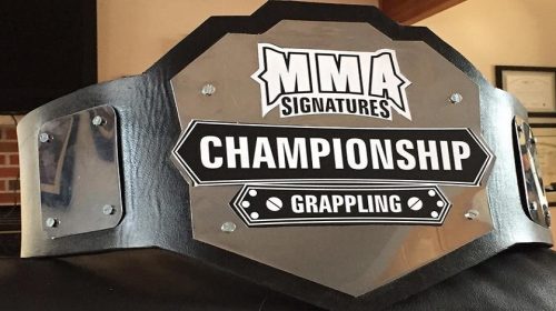 mma signatures jiu jitsu asylum