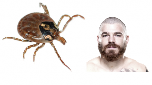 Jim Miller, tick, Lyme Disease