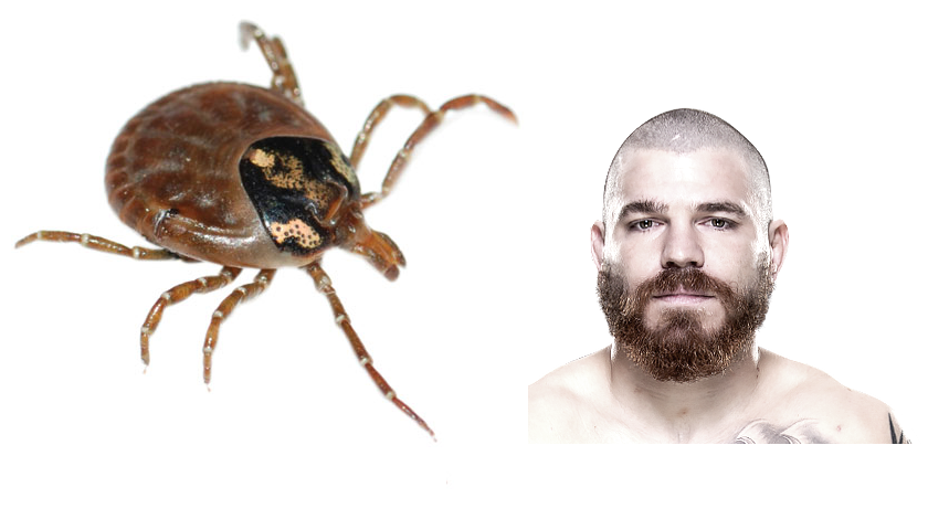 Jim Miller, tick, Lyme Disease