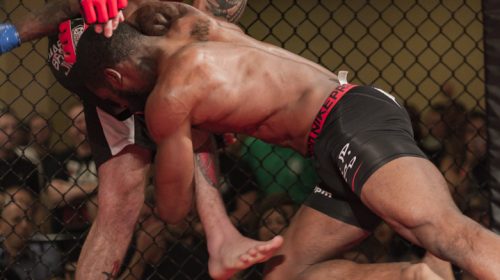 Will Martinez vs. Sharif Jones - Art of War Cagefighting 2