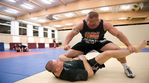 The best discipline for MMA fighters to train in is... MMA