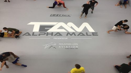 Team Alpha Male partners with Aviation company, flights for fighters