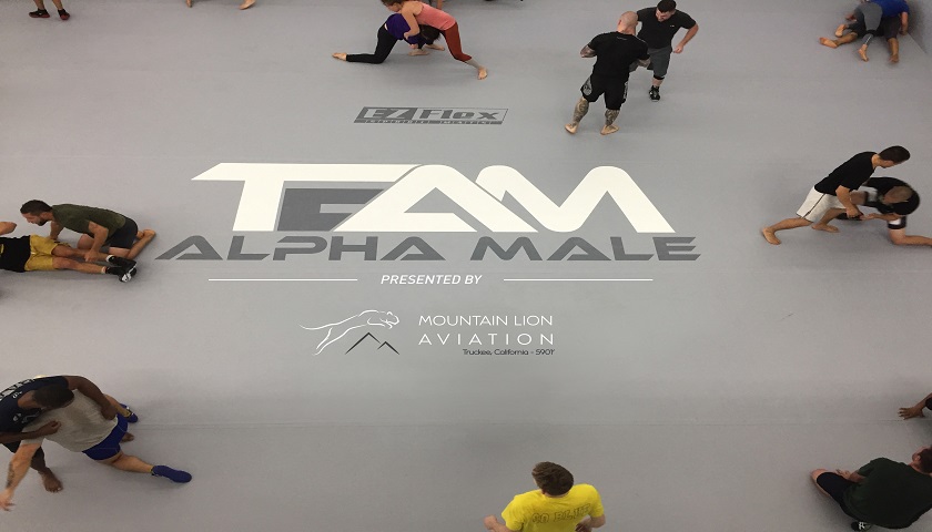 Team Alpha Male partners with Aviation company, flights for fighters