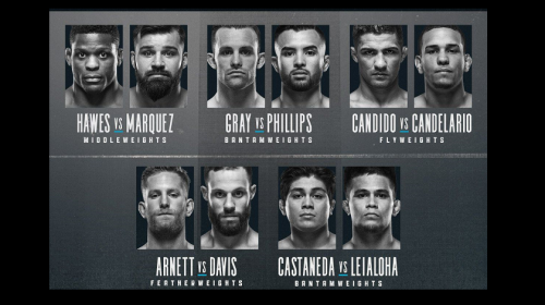 Tuesday Night Contender Series - Week 4 Results