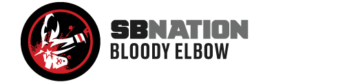 BloodyElbow.com