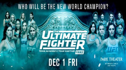 UFC Crowns Its First Women's Flyweight Champion On December 1st