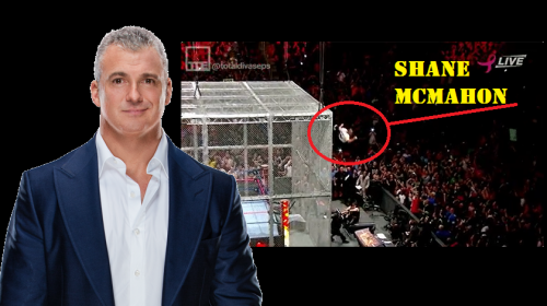 WWE Commissioner Shane McMahon seriously injured after leap from cage during Hell in the Cell match