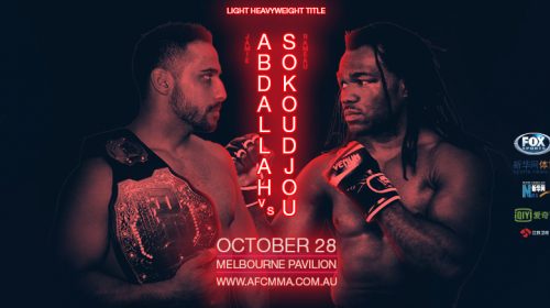 Who wins the AFC Light Heavyweight Title?