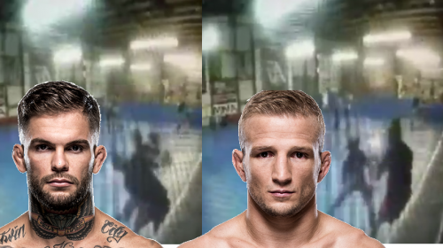 Cody Garbrandt finally posts the infamous T.J. Dillashaw knockout video