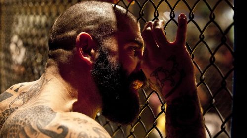 mma fighter, The Role of Height and Weight in MMA