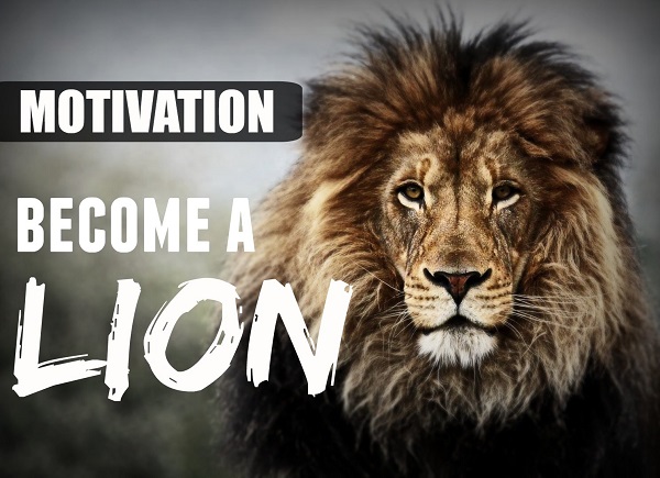 Importance of motivation