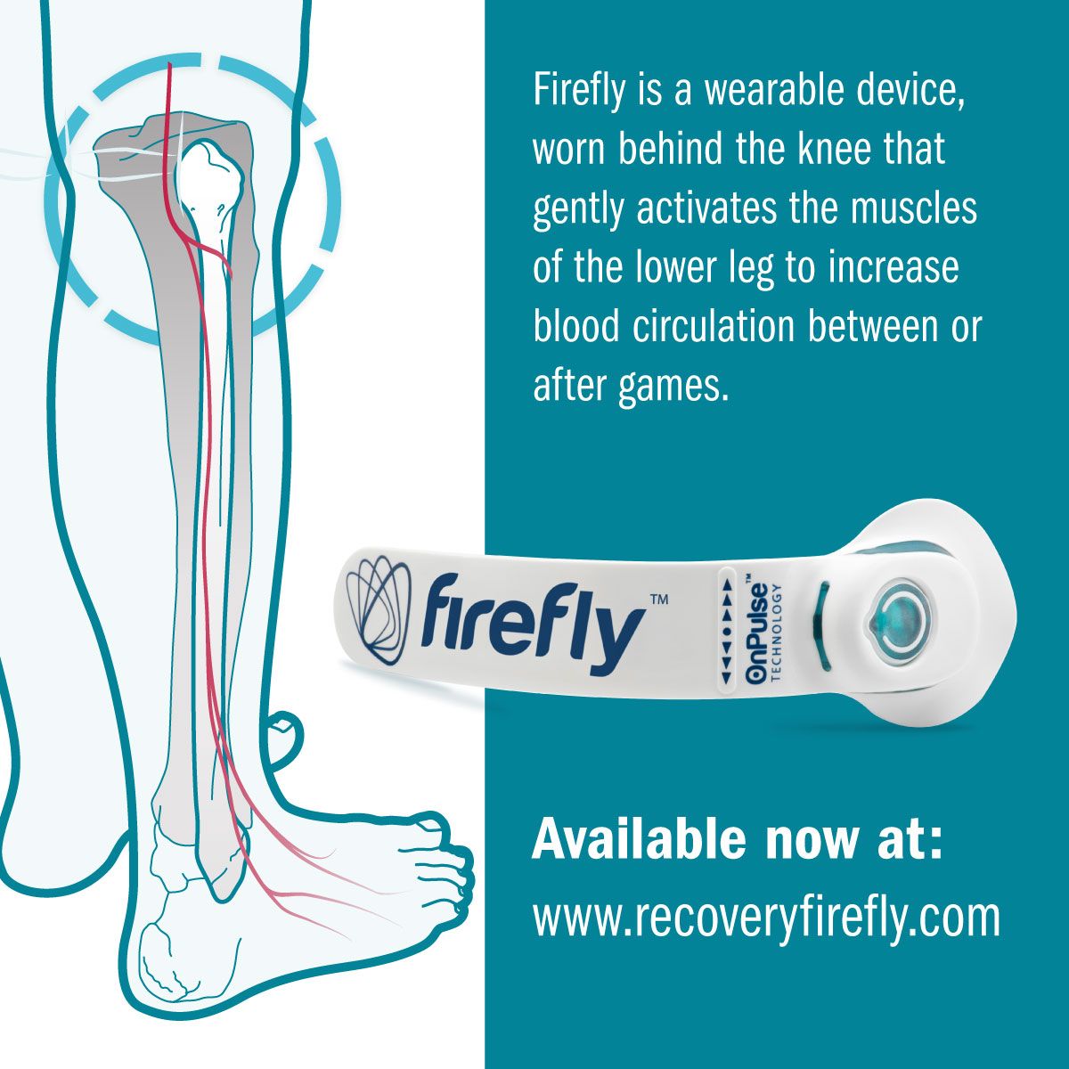 firefly, athlete recovery, blood flow