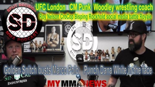 Charlize Theron compares MMA fighters to NASCAR drivers