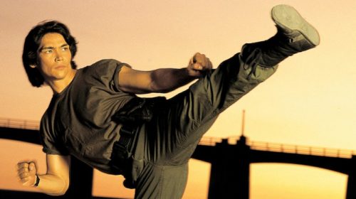 Don Wilson, Don "The Dragon" Wilson