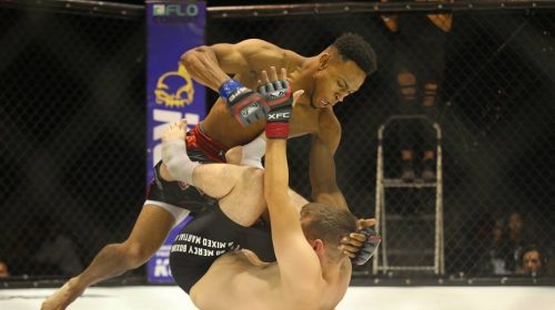 Idris Perry was born to fight