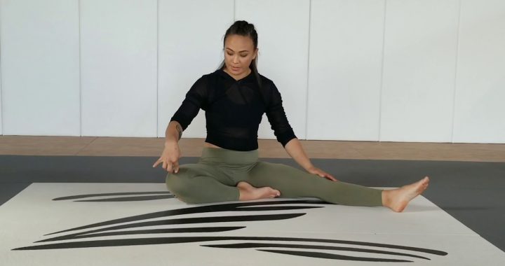 stretch, michelle waterson, karate hottie