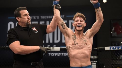 Mike Santiago knows the stakes at UFC 225