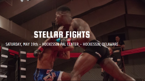 Stellar Fights 37 Results from Hockessin, Delaware