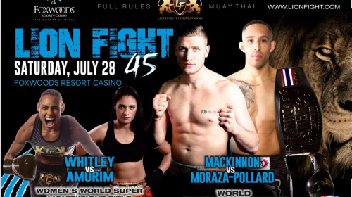 Lion Fight, Lion Fight 45